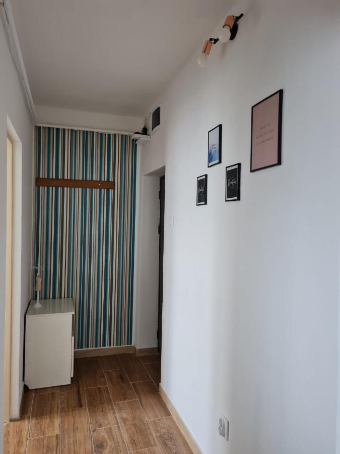 Dddd Apartament Cavnic Buitenkant foto