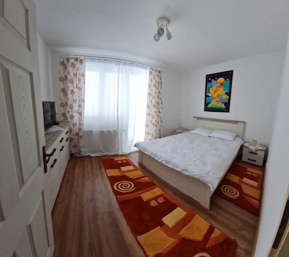 Dddd Apartament Cavnic Buitenkant foto